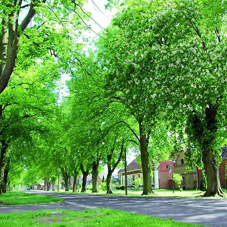 In Am Mueritzsee Buchholz (Mecklenburg-Vorpommern)