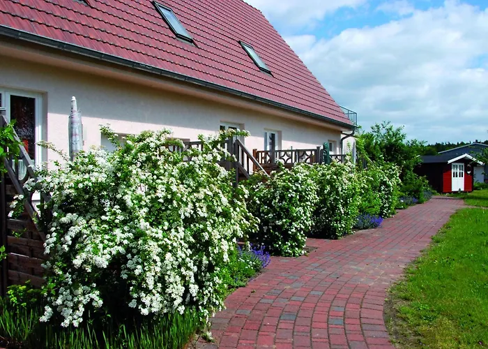 Διαμέρισμα In Am Mueritzsee Buchholz (Mecklenburg-Vorpommern)